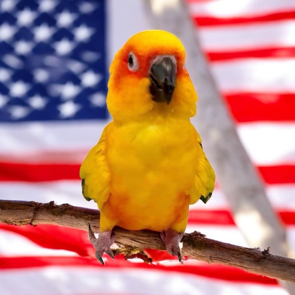 🐥 Sunny 🐥 is pure love!